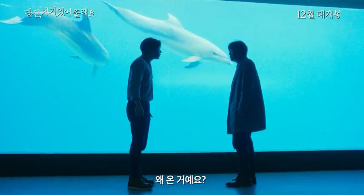 gswdolphins's tweet photo. 12월 14일 개봉영화 #당신거기있어줄래요촬영지 거제씨월드와 함께하는 예매권 이벤트! 예고편보고 기대평을 댓글로 남기면 추첨을 통해 10명에게 2인 무료 영화예매권을 드립니다! 이벤트 참여하기▶https://t.co/Fucb6gXqhL https://t.co/Z1pqkqwNfu
