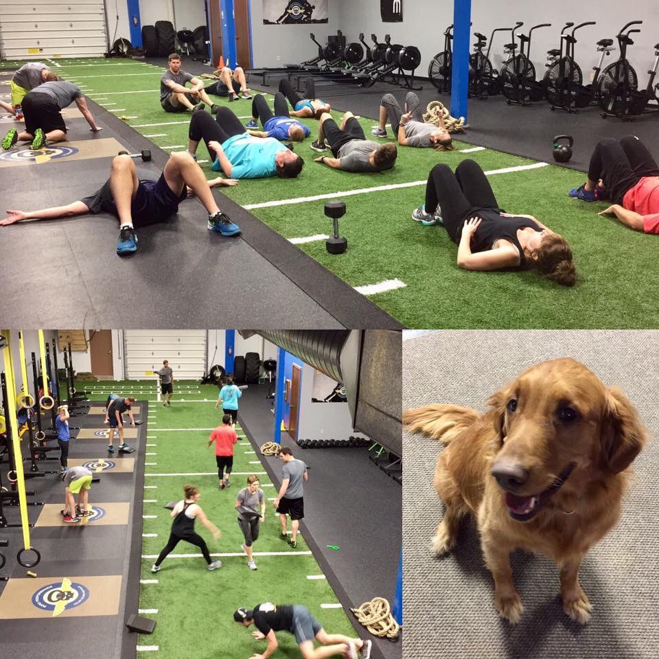 moroperformance's tweet photo. Happy Thanksgiving from Moro Performance! We had a great time at our Turkey Buster workout this am! #happythanksgiving 🦃 #NationalGainzDay https://t.co/m6F3jfT3eH