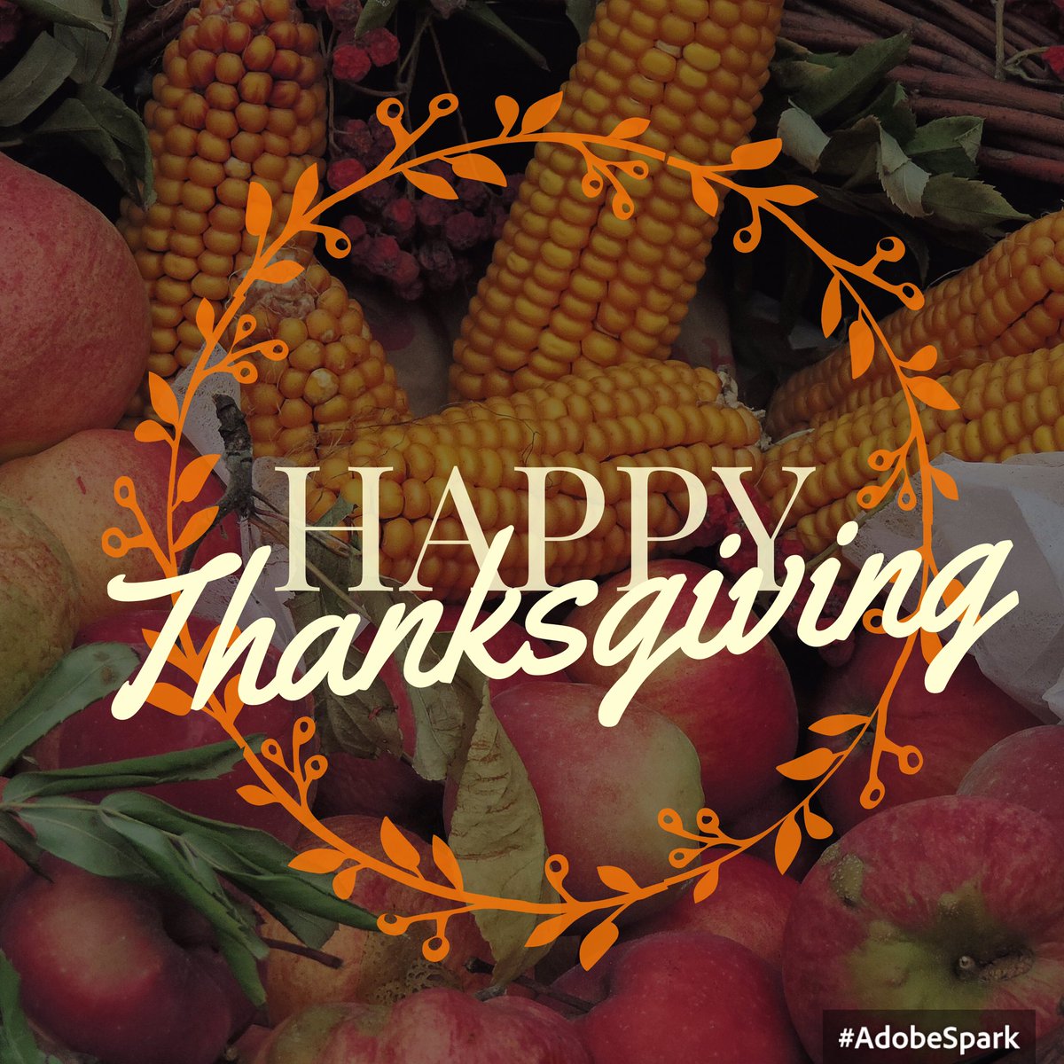 sweetface_bb's tweet photo. Happy Thanksgiving to all my Sweetface's! https://t.co/bTDoi0xcKk