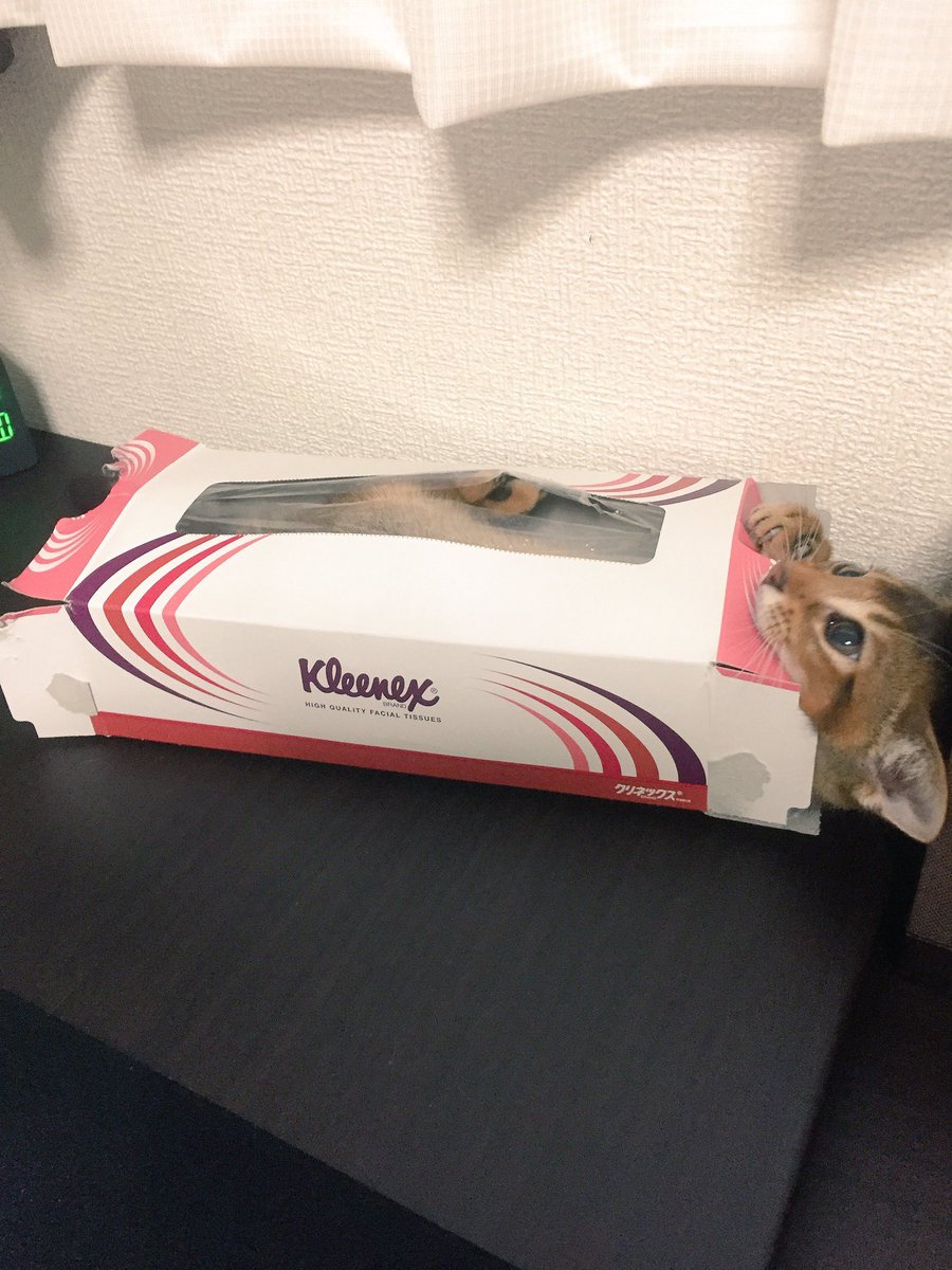 なーにやってんだ笑