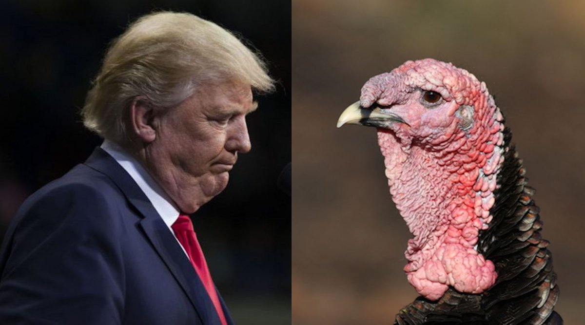 filmystic's tweet photo. Hi @realDonaldTrump You told the media not to show your double chin? How about your quadruple chin? Is that ok? (You're the one on the left) https://t.co/aJwn4oBsaU
