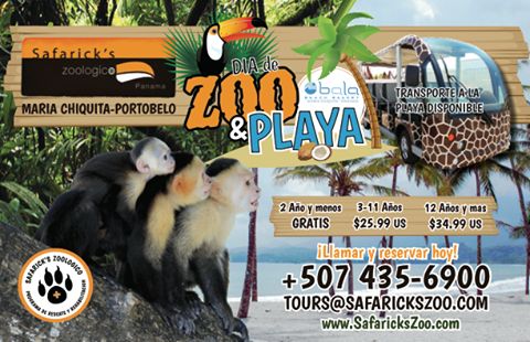 Safaricks Zoologico tweet media