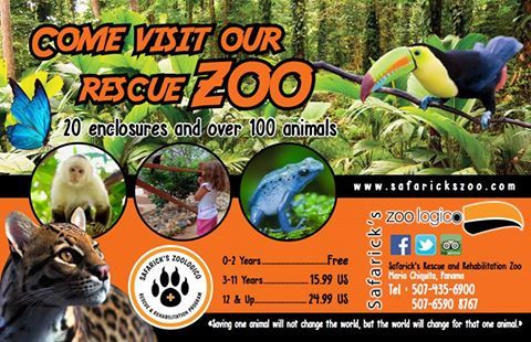 Safaricks Zoologico tweet media