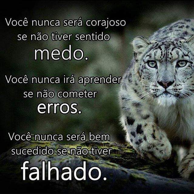 tatirodsouza's tweet photo. 829 #FJUvaledoparaiba #FJUSV #IgrejaUniversal #Iurd #EuSouaUniversal https://t.co/SyCZaV45ff