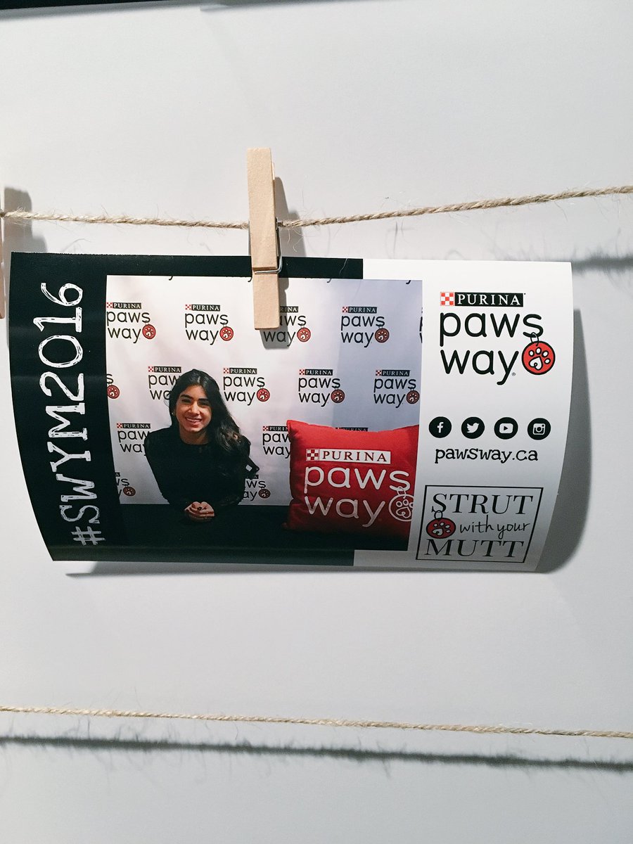 DivyaAsnani's tweet photo. So glad the fashion show went so well! Such an amazing experience 🐾 #SWYM2016 @PawsWay https://t.co/4FgxXCQFKY
