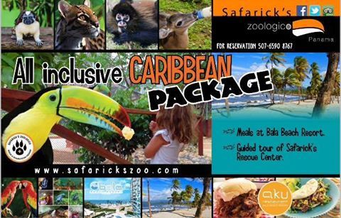 Safaricks Zoologico tweet media