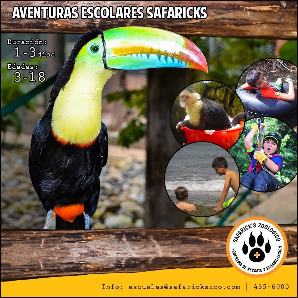 Safaricks Zoologico tweet media