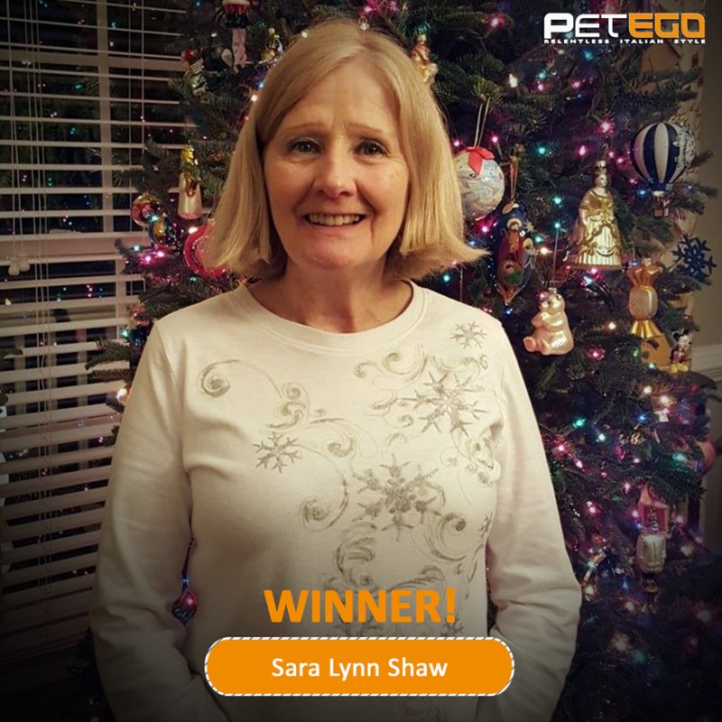 Petego EBDesign tweet media