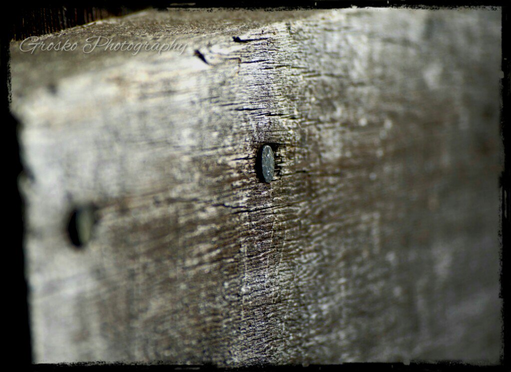 GroskoPhotos's tweet photo. Detail old wood photo. I've got plenty to post, Happy Thanksgiving! https://t.co/6XrmOOTJFL