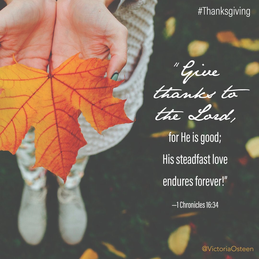 ccbleck's tweet image. So much to be thankful for today......