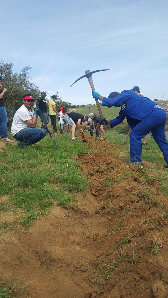 greenbeings_sa's tweet photo. Digging &amp; planting a fruit trees orchard at our flagship school West Primary with @MyBetterSA and the @Vodacom team https://t.co/jKhZtSzUa4