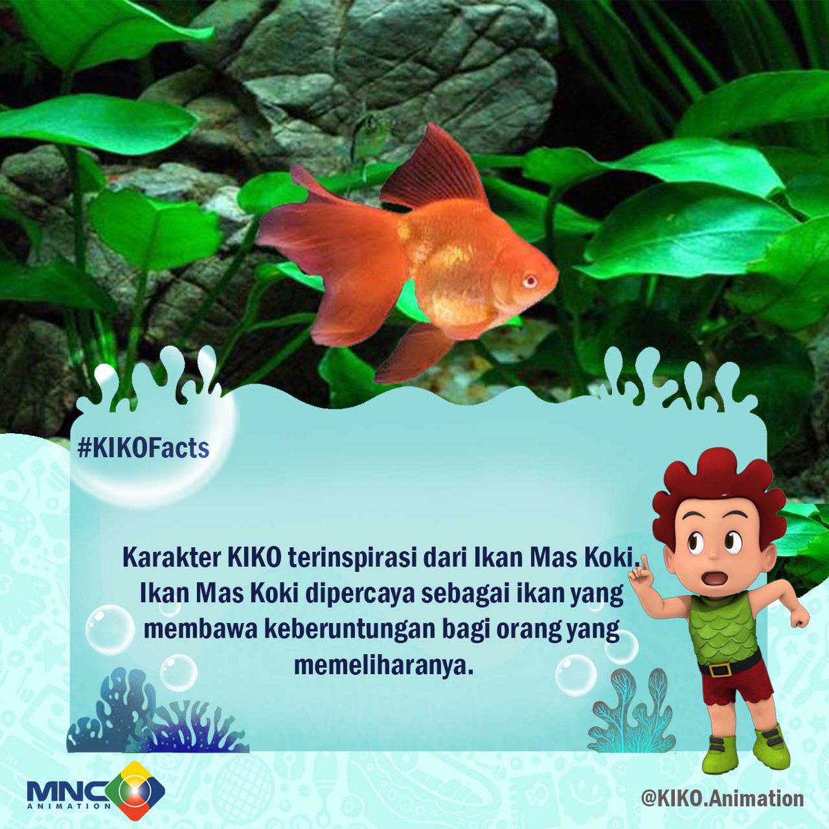 gambar gambar bagus: Gambar Animasi Ikan Mas
