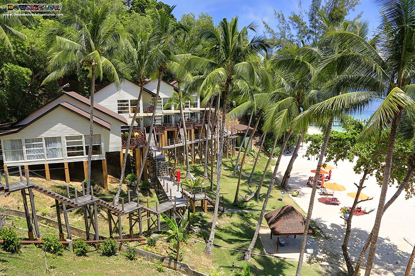 divedownbelow's tweet photo. #Learn2Dive with @divedownbelow &amp; #Stay at #ManukanIslandResort - book now! https://t.co/S7pPjPYAxd https://t.co/qA2JxuUoEh
