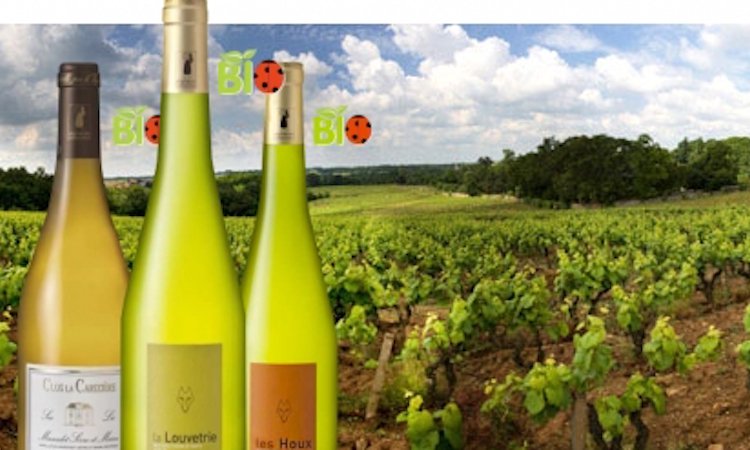 ilPastellatore's tweet photo. Vin Mousseux de Qualité Méthode Traditionnelle “Atmosphères” Jo Landron
https://t.co/AmVSMUNKWq #wine #France ottimo con #Aperitivi e #Mare https://t.co/oaem0JFn3a