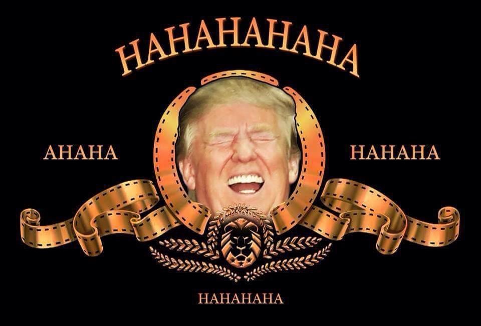 Tim Kaine staffers still crying over epic loss