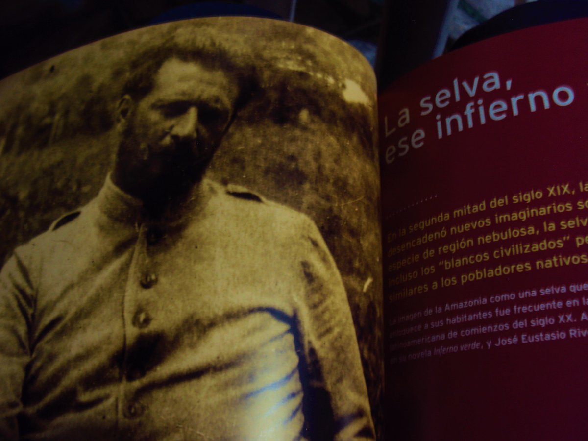 HotelInsonmia's tweet photo. La literatura nace de la caza, de alguien que sigue rastros de una presa que podría ser él mismo...
JOSÉ EUSTASIO RIVERA #Amazonas2016 https://t.co/2biluzpusf