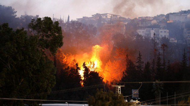 以色列逮捕八名纵火嫌疑人 多国飞机出动协助灭火 7newsworld.com/2016/11/24/%E4…