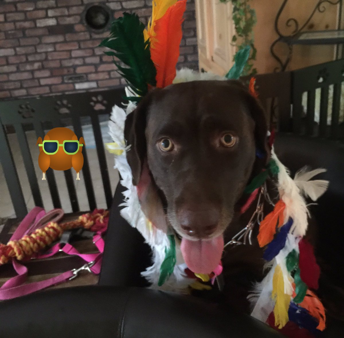 beds_bones's tweet image. Happy Thanksgiving!!! 😊🦃