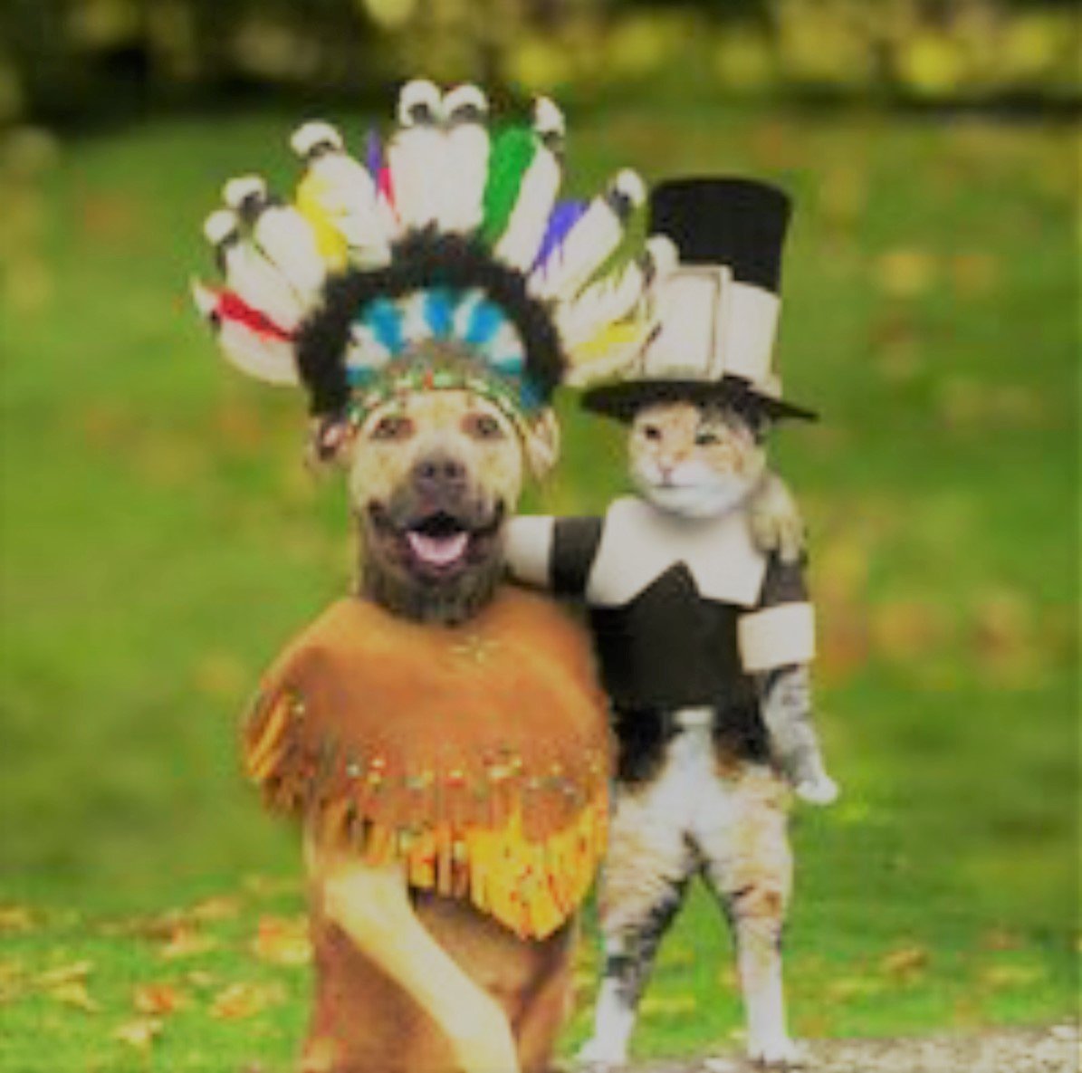 THEPINNACLE2017's tweet photo. #happythanksgiving from #PINNACLE .. Have a safe and non-shade rest of your Thanksgiving Day ...  https://t.co/JH7bAVNqr8 #Watch #SHADE https://t.co/FHINXUmNZD