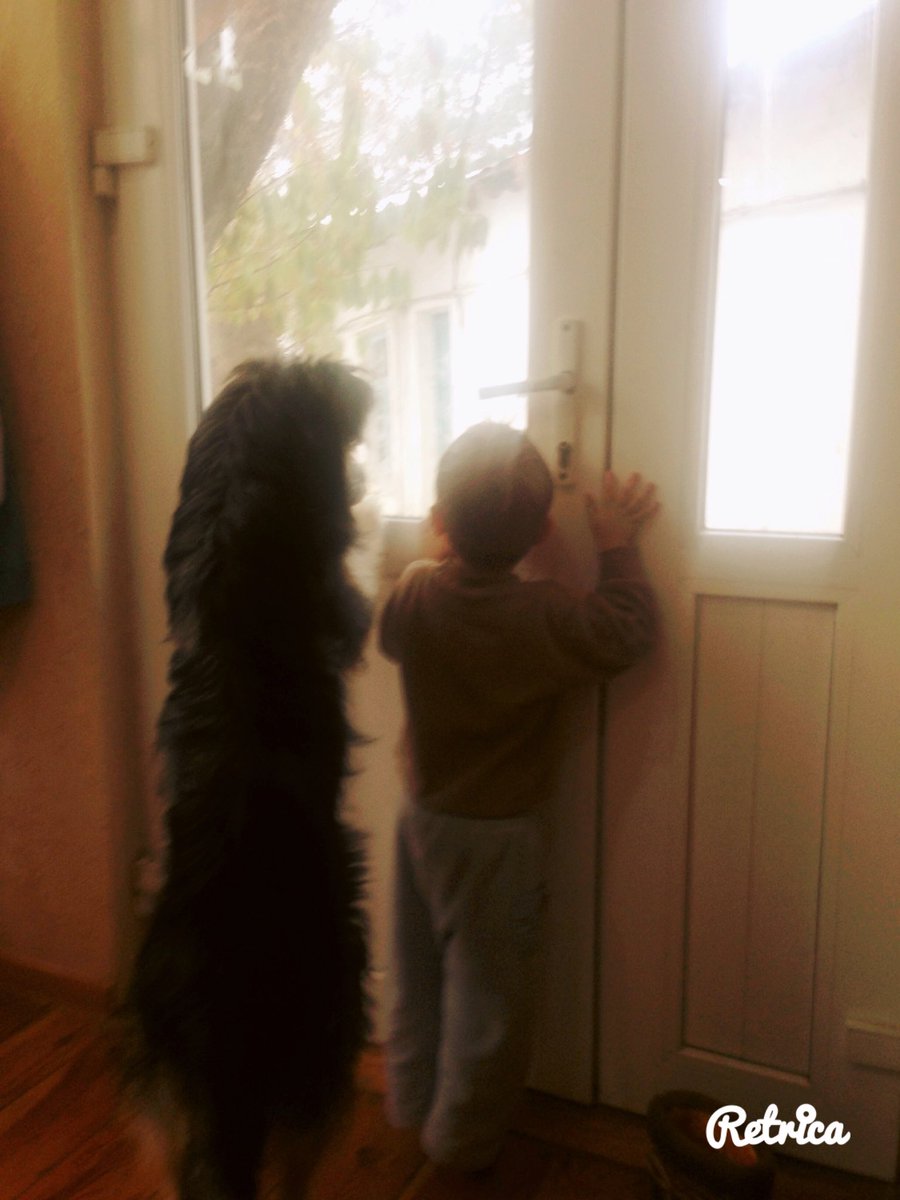 5viFwm's tweet photo. Доброе утро!) https://t.co/ep1LHZoHtg