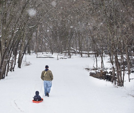 StarTribune's tweet photo. Minnesota state parks will be free on Black Friday #HappyThanksgiving https://t.co/bhcRqGDNzo https://t.co/yxSvZq1iVH