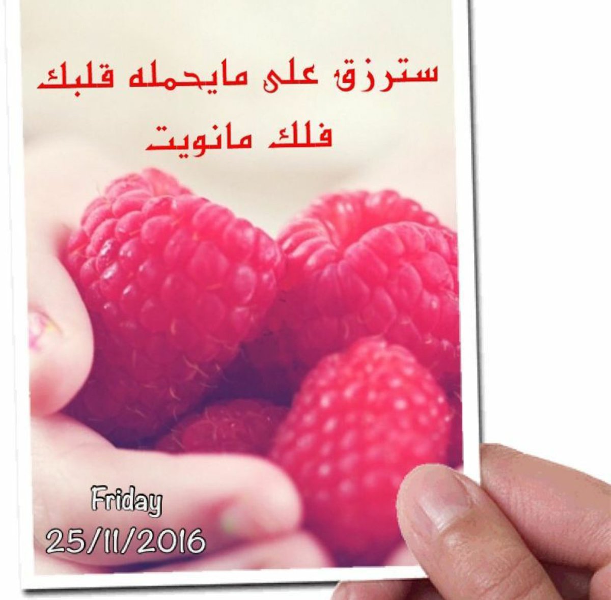 om_nasserS's tweet photo. https://t.co/ZaNuUJQIlh