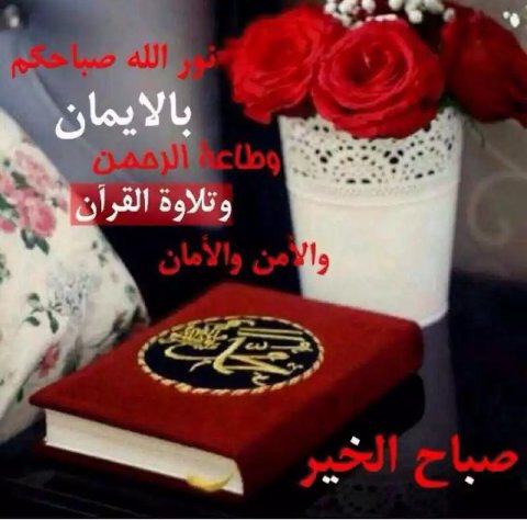 ly7213979's tweet photo. @aklaas_alkurdy @wafj2151 https://t.co/X6LZ9UjeXe