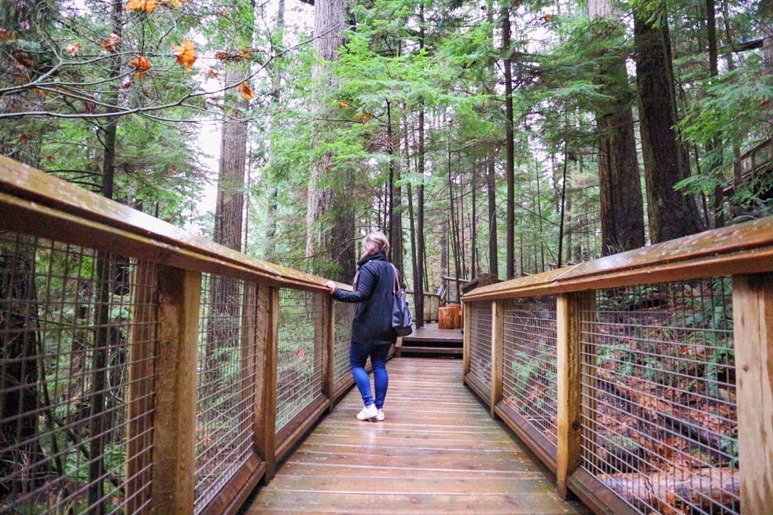 charmofwanders's tweet photo. #vancouver #canada #suspensionbridgepark #happyplace #nature #traveling https://t.co/hONQr1nzF6