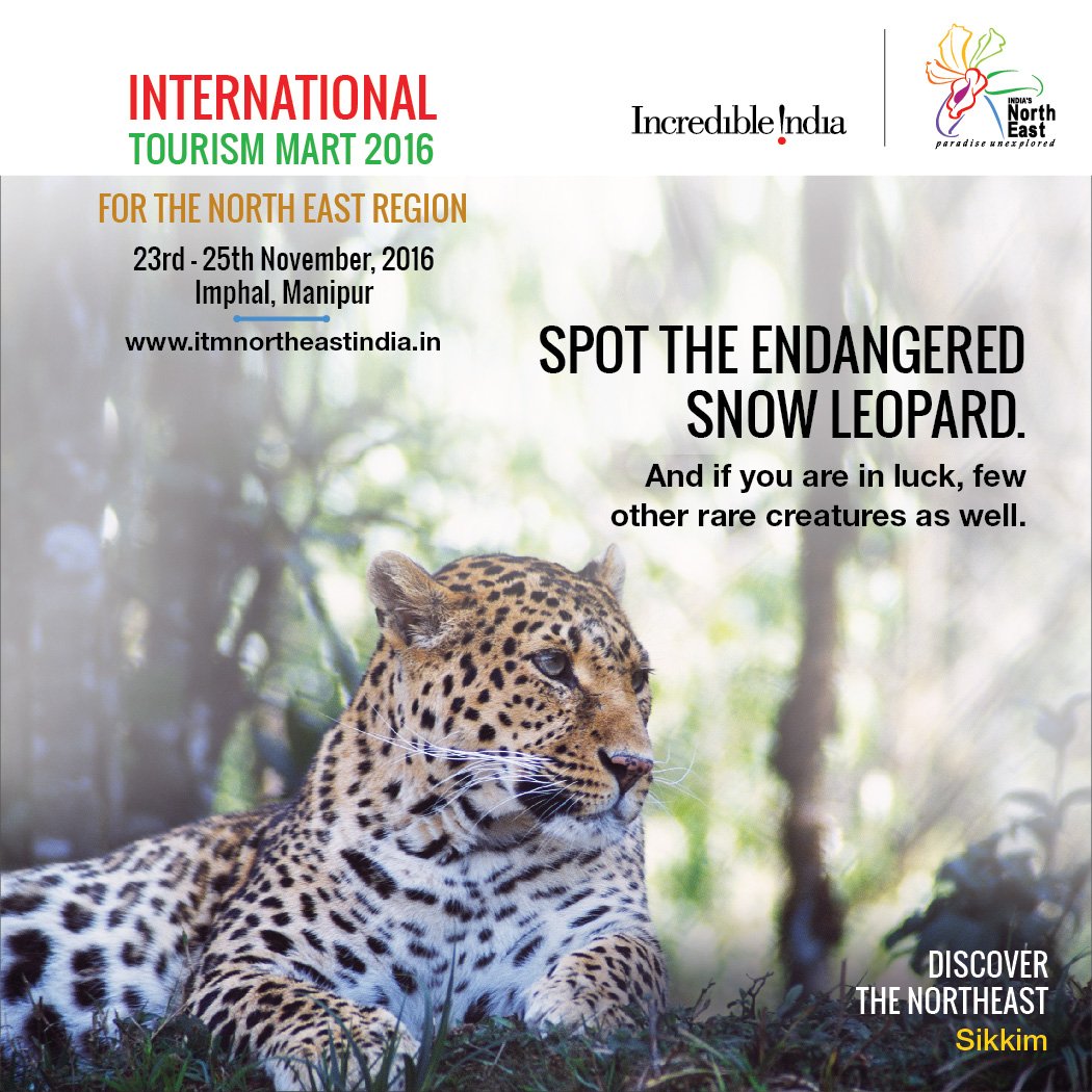 incredibleindia's tweet photo. Have you ever seen a Snow Leopard? If no, then come to #Sikkim and spot one in real. #ParadiseUnexplored #ITM2016 #IncredibleIndia https://t.co/grmzcu6fio