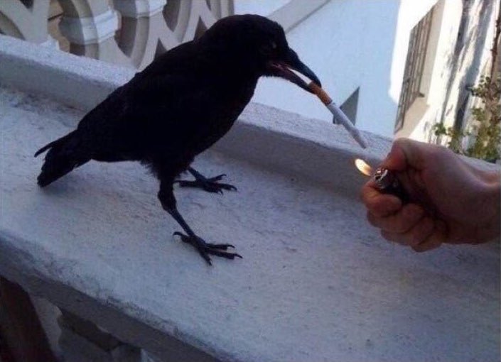 itachi? i ain't heard that name in years