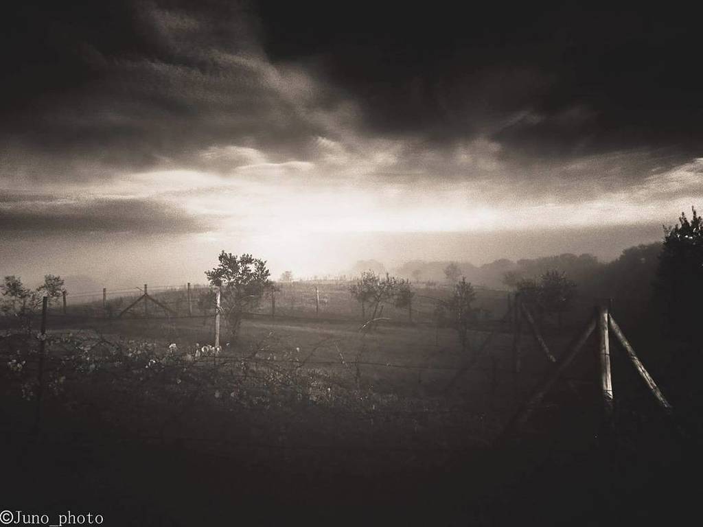 Juno_photo1978's tweet photo. #atmosfere #BiancoeNero #BlackAndWhite #BW #Tuscia #junophoto #alexanderterragno #juno_photo #Paesaggio #landscape … https://t.co/sQipDQ0HKu