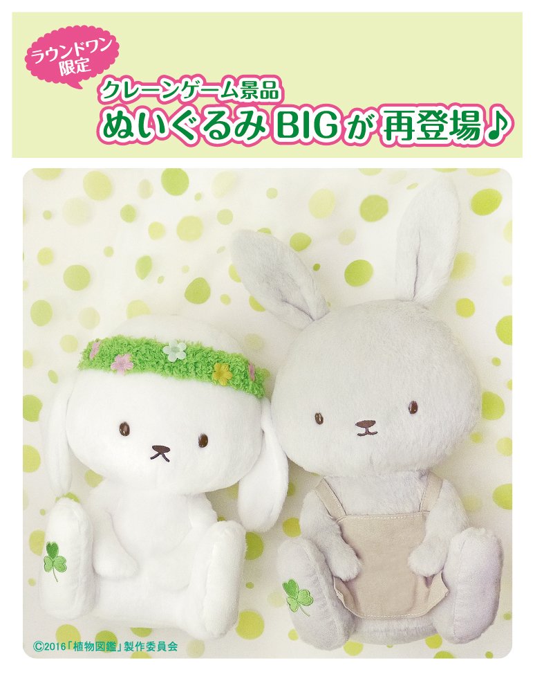 ラウンドワンスタジアム城東放出店 アミューズ景品情報 植物図鑑 運命の恋 ひろいました のdvd発売記念 植物図鑑の ぬいぐるみがラウンドワン限定で再登場 更に抽選で樹とさやかの特大ぬいぐるみとdvdが当たる プレゼントキャンペーンも同時