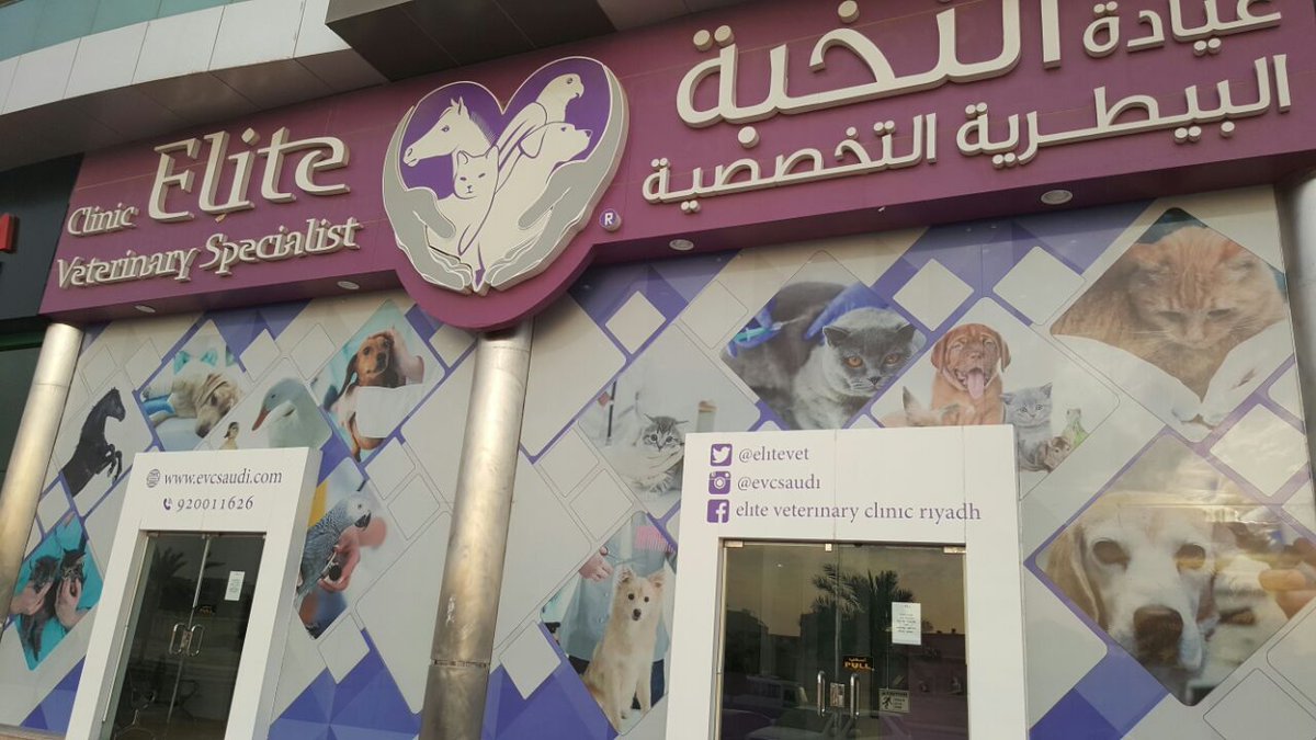 catit adjustable harness