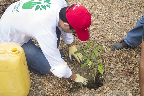 Inf_power's tweet photo. https://t.co/ahTQl1ZQJl INICIATIVA REFORESTÓ MÁS DE 1000 ÁRBOLES #AxisEcuador @HolcimEcuador @Ambiente_Ec @MarthaPine @felipejuancarlo https://t.co/w5o1eNj0G4