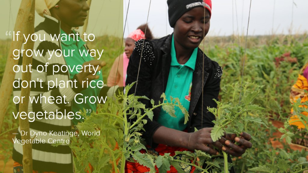FarOutQld's tweet photo. Horticulture cld hold key 2 #endhunger in world's poorest nations #ISTTH2016 @go_vegetables @CrawfordFund @ishs_hort https://t.co/SFSuioh1uH https://t.co/NaywinM3CQ