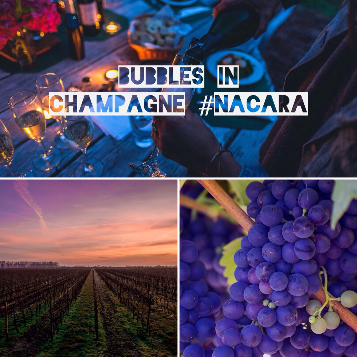 iris_hello's tweet image. #famtrip2017