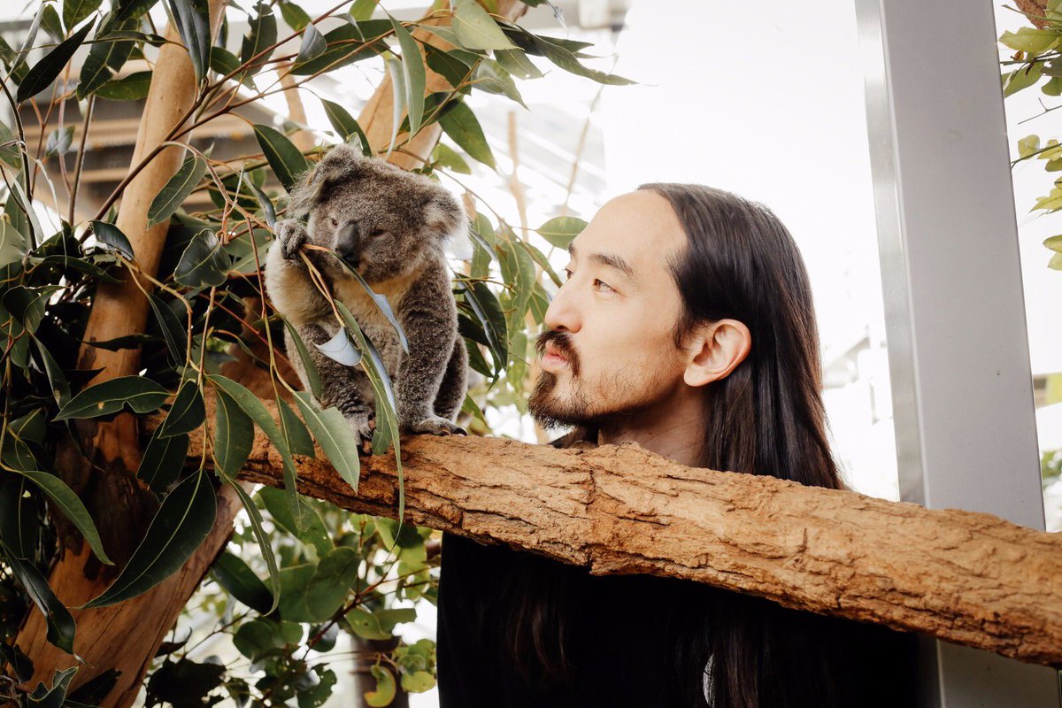 Eye contact first. Rest is history https://t.co/AqYA58En7n