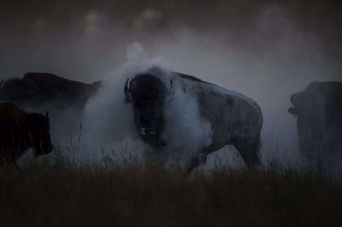 BillFrakes's tweet photo. Now through Sunday, use code THANKS for 15% off our calendar and fine art prints. #gifts #blackfriday https://t.co/kQ9DOk5IYg https://t.co/nIOY9ZDV3i
