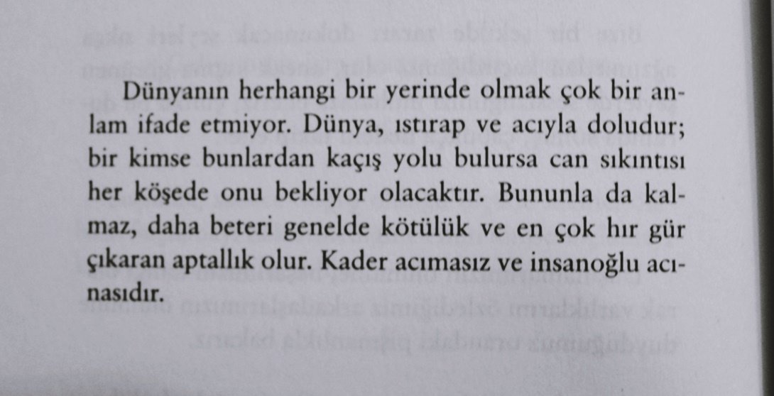 Arthur Schopenhauer, Hiçliğin Mutlu Sessizliği s.106