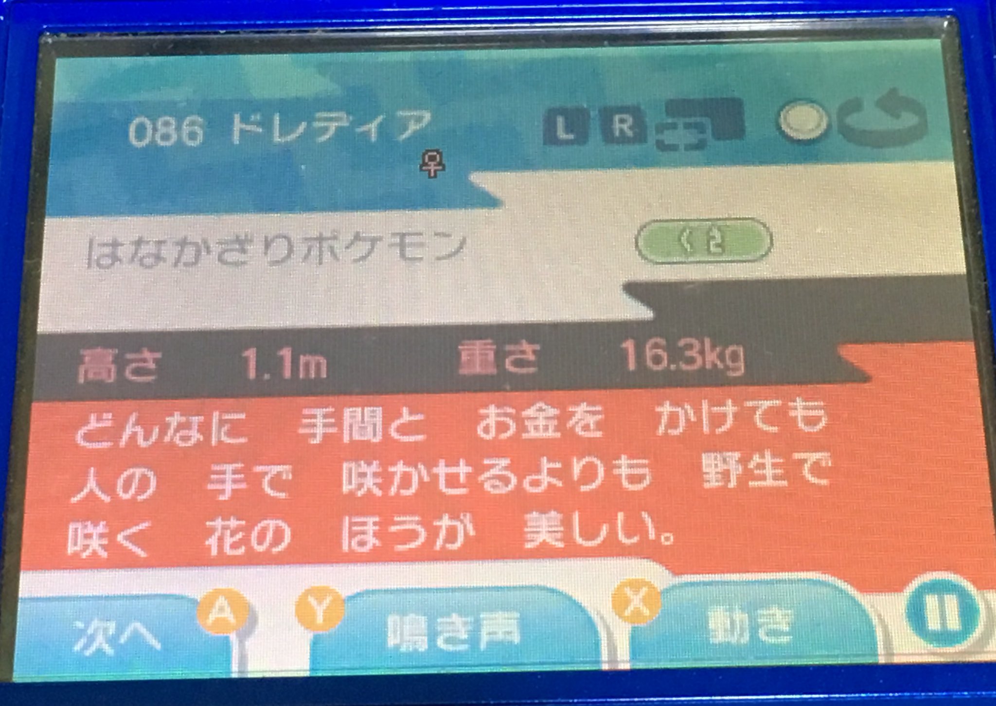 サトチー いやドレディアの説明しろよ