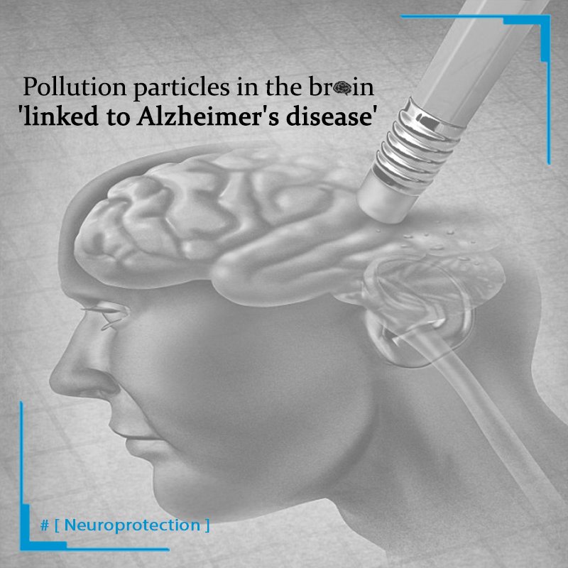 neuroprotectcd3's tweet photo. Study suggests microscopic particles found in #pollution may also enter the #brain 
https://t.co/VT4FARaiAL
#alzheimersdisease #WhatsNew https://t.co/NNX04sVX7Y