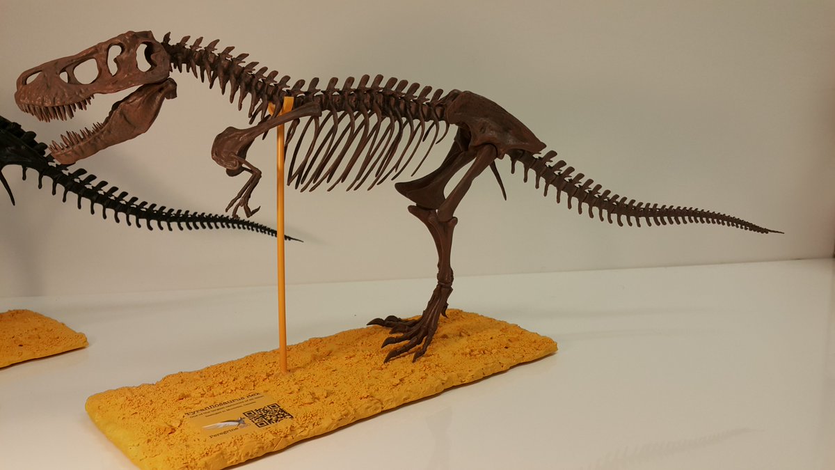 jurassicfossil's tweet image. Experience the feeling of having your own HD, Museum Quality #DinosaurFossils.Visit at bit.ly/2gtobEX