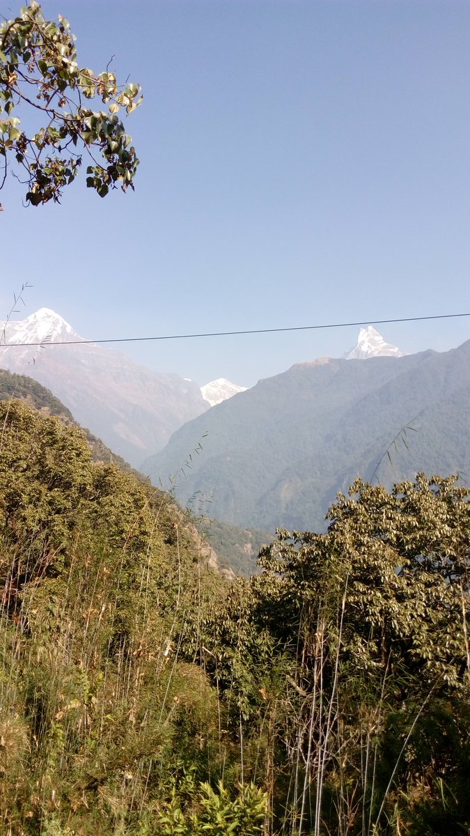 beebake360's tweet image. Hakka ramilo wide friends