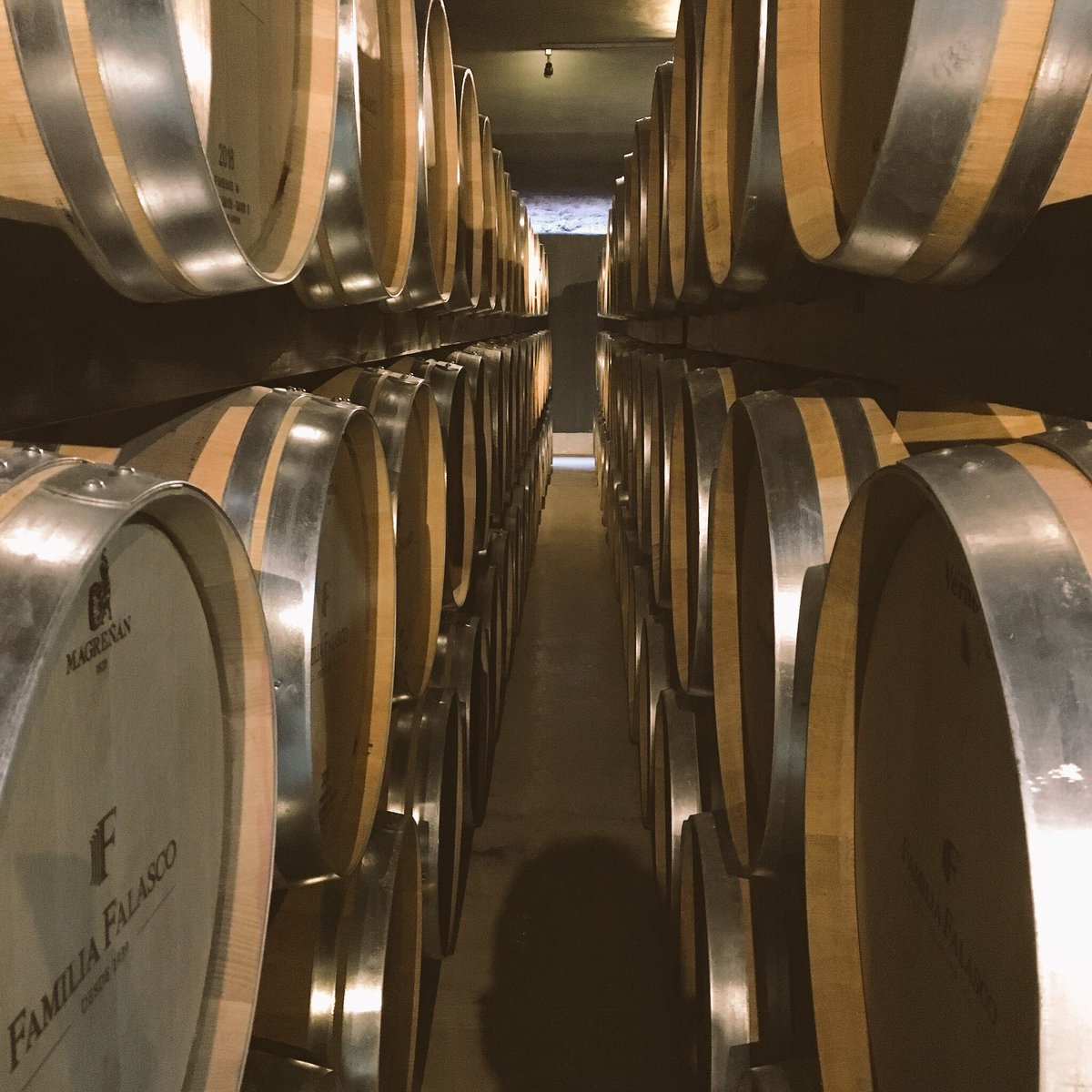francofalasco's tweet photo. Hoy es el día de nuestra inauguración de la Nueva Nave de Barricas para nuestros vinos de Alta Gama.
A todo vapor!! https://t.co/BAO3NLRGrt