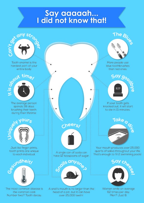 Infographics4u's tweet image. INFOGRAPHIC: 10 Cool Truths About The Tooth - infographicsarchive.com/health-and-saf…
