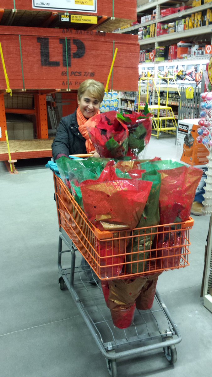 susan_plog's tweet photo. A #BlackFriday #HolidayDecorating deal in every #Orangecart @HomeDepot @KWGHI  @dangracehd #6178Fishkill https://t.co/pJMtjj9Skf