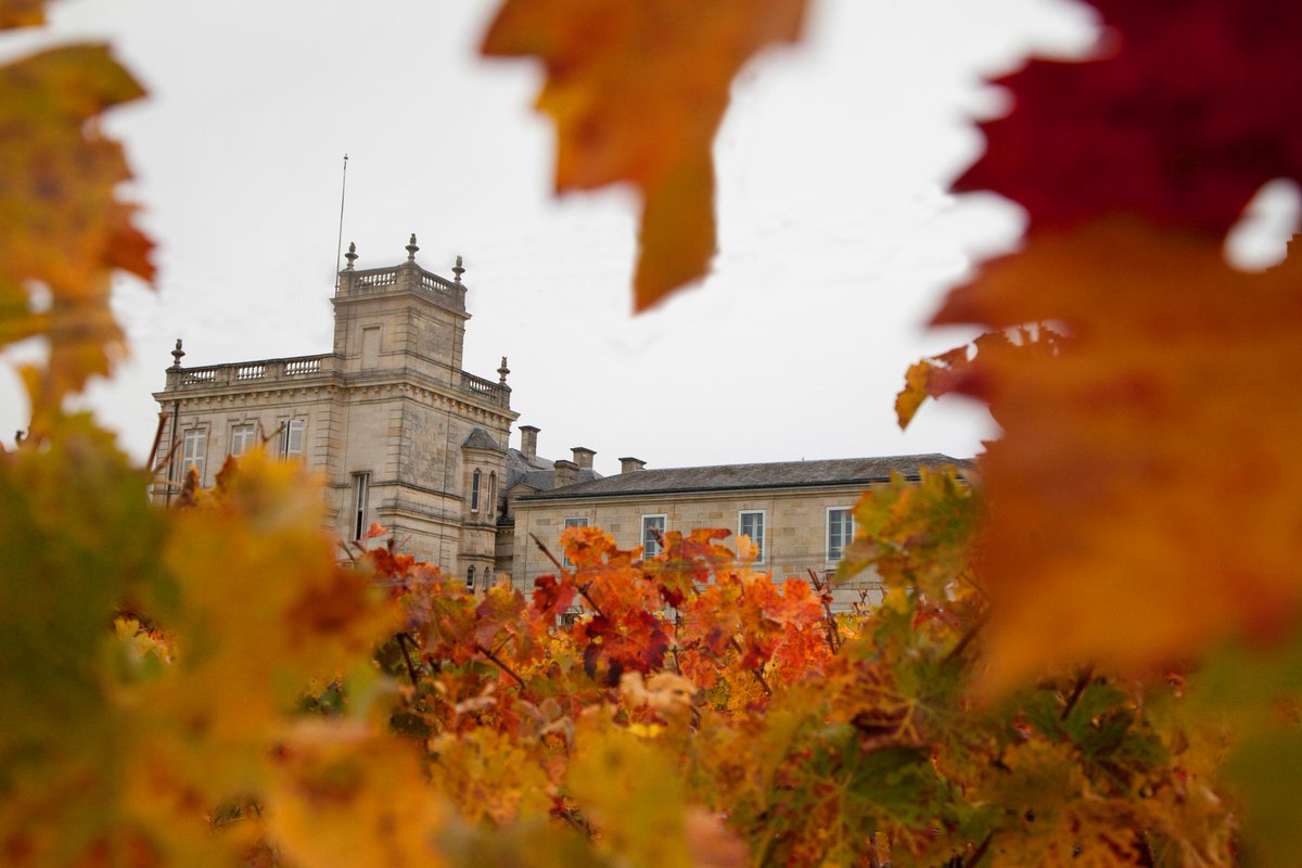 Ducru-Beaucaillou tweet media