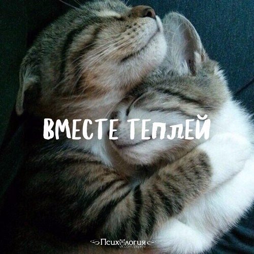 Грейтесь вместе!