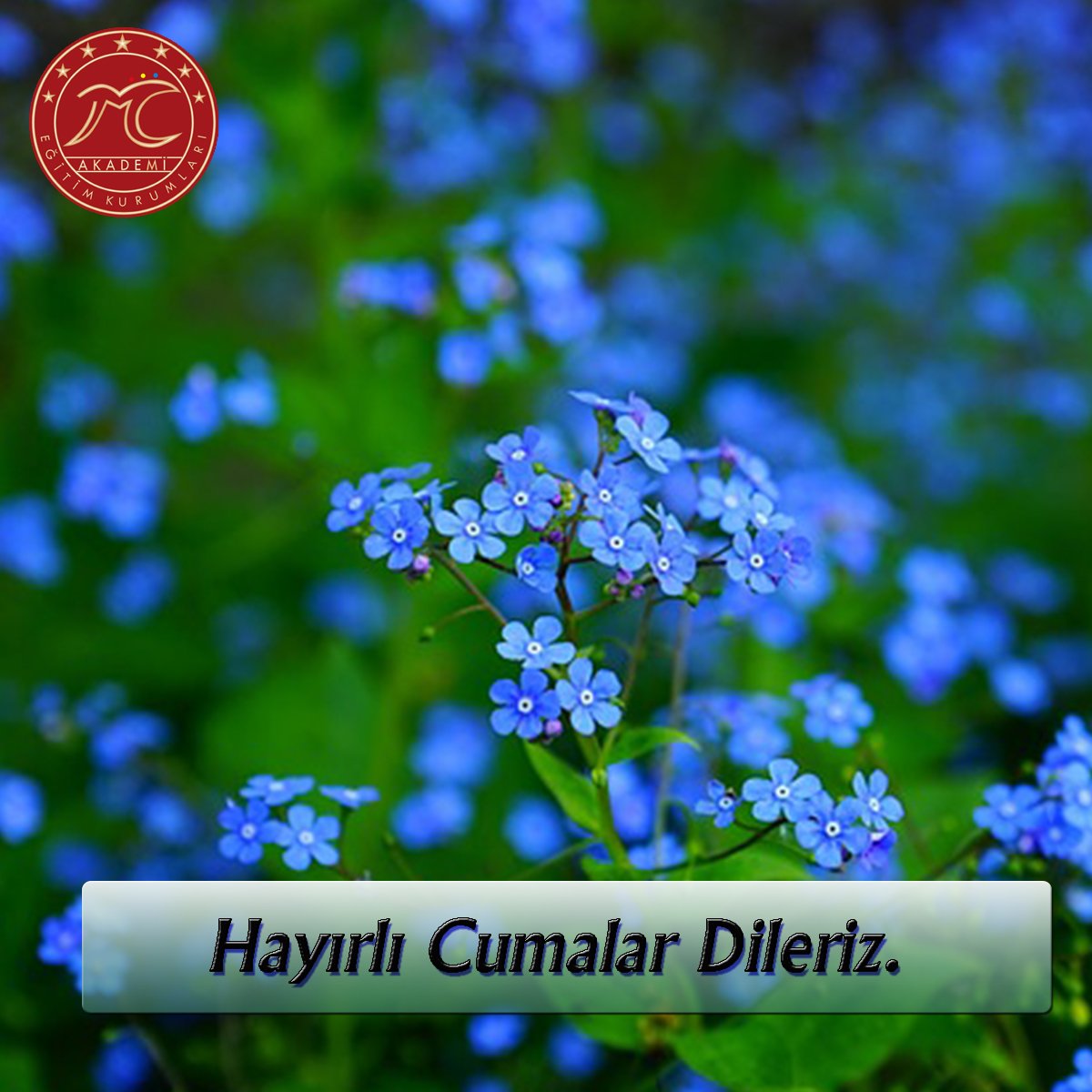 "Hayırlı Cumalar"