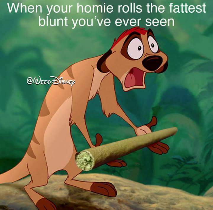 aDrugsLife's tweet image. Ayye, real shit, who doesn't love a fatass #blunt?
#weed #drugs #lionking